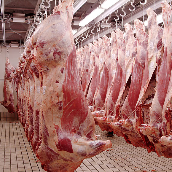 Slaughter-House.jpg